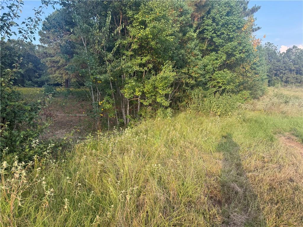 1916 Bayou Maria Road Pineville, LA 71360 - Photo 4 of 10