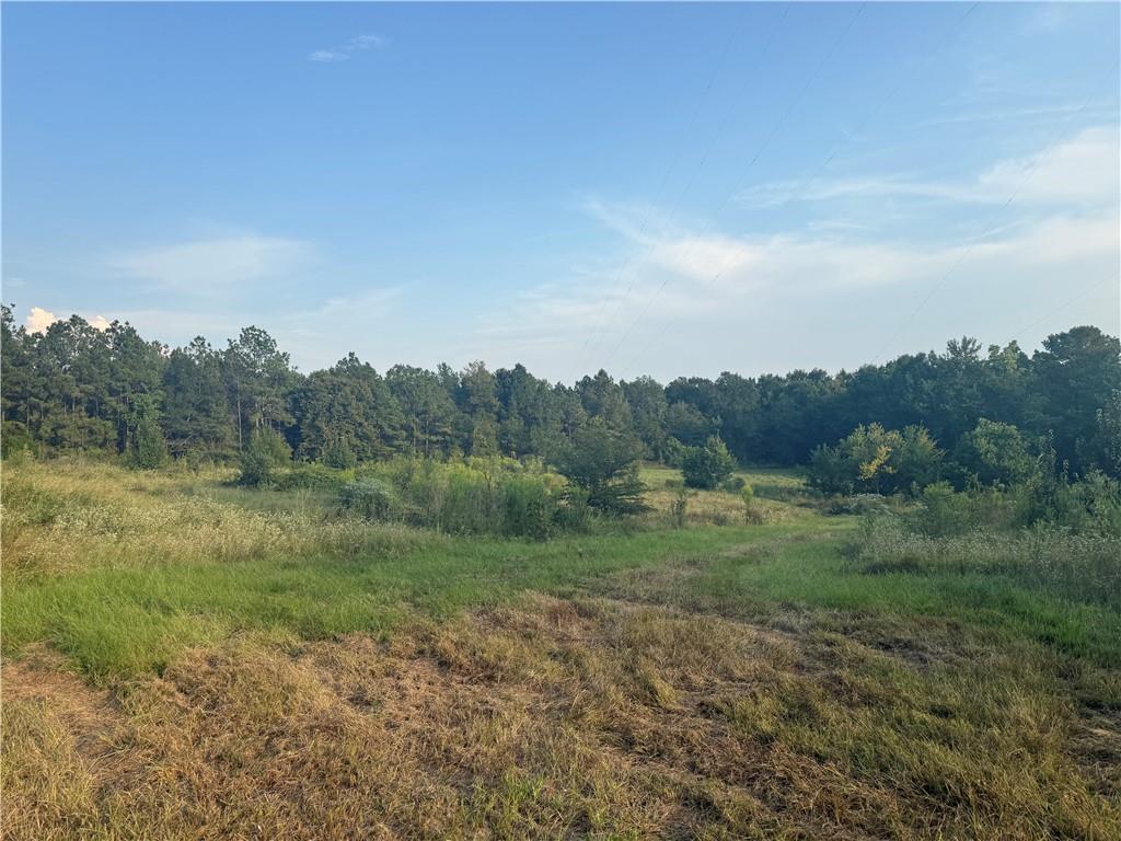 1916 Bayou Maria Road Pineville, LA 71360 - Photo 5 of 10