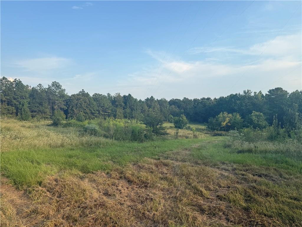 1916 Bayou Maria Road Pineville, LA 71360 - Photo 6 of 10