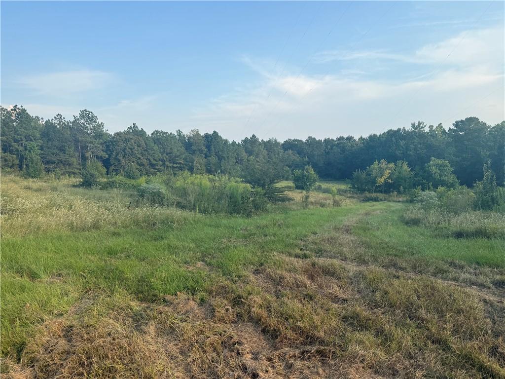 1916 Bayou Maria Road Pineville, LA 71360 - Photo 7 of 10