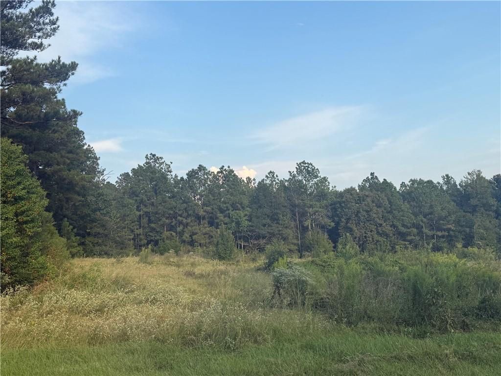 1916 Bayou Maria Road Pineville, LA 71360 - Photo 9 of 10