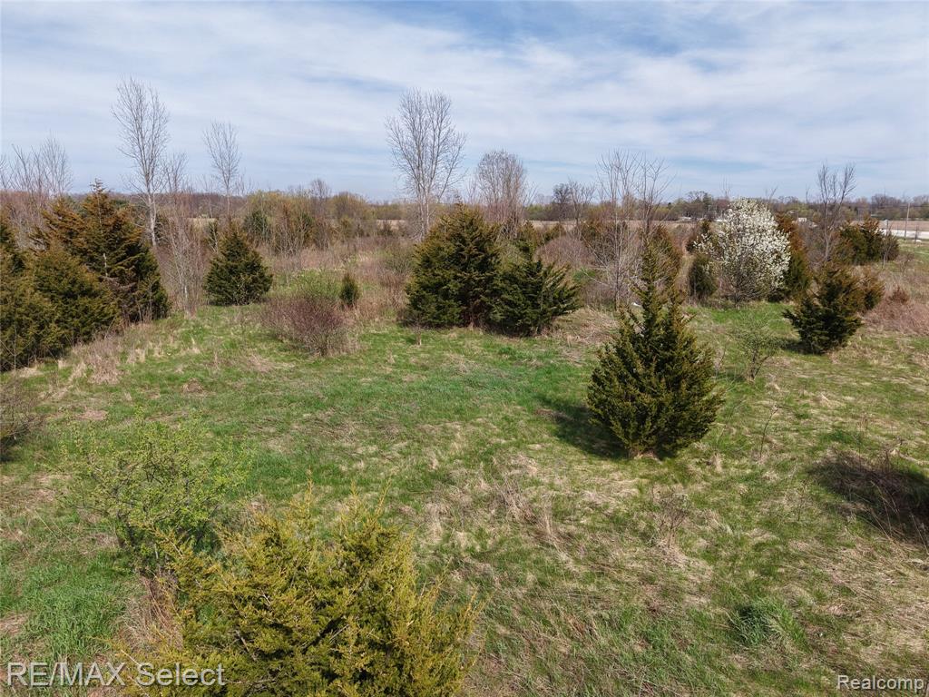 0 South Morrish Road Flint, MI 48532 - Photo 12 of 13