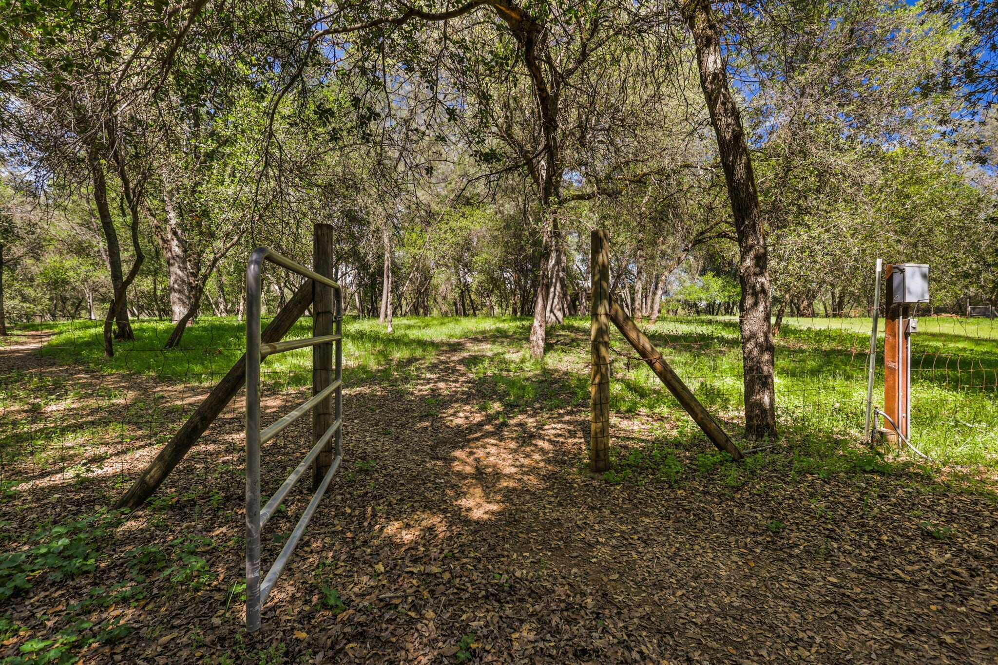 21082 Oak Knoll Road Redding, CA 96003 - Photo 38 of 45 Yard