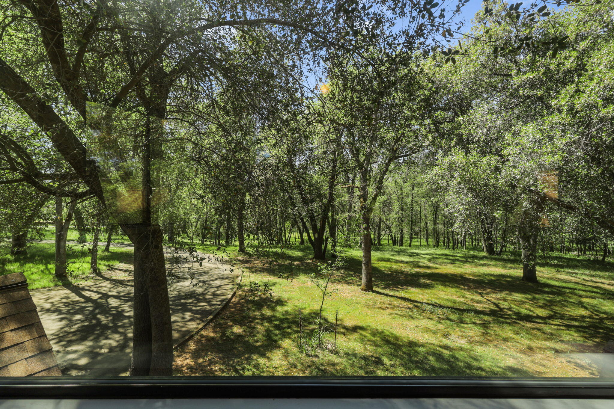 21082 Oak Knoll Road Redding, CA 96003 - Photo 42 of 45 YARD