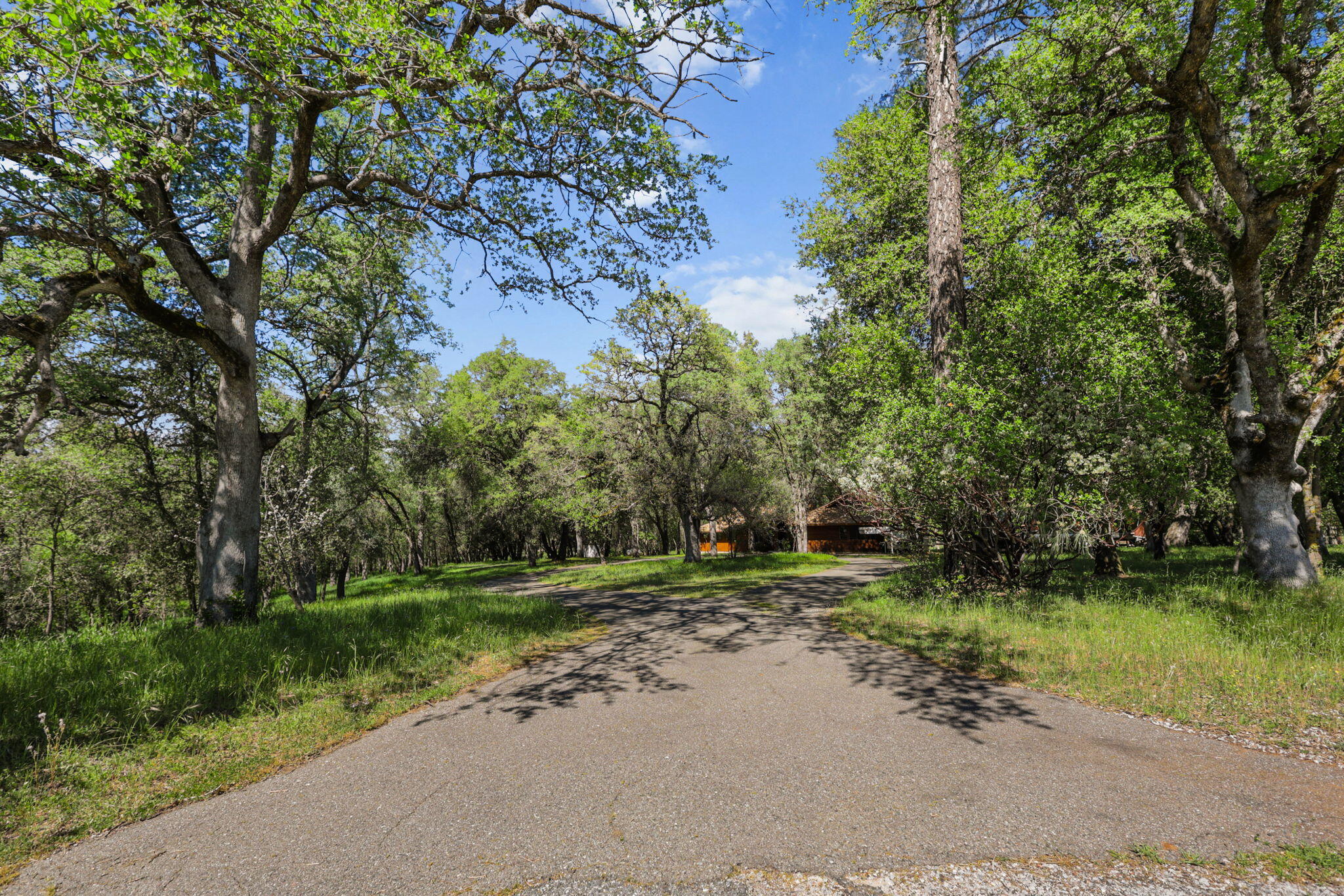21082 Oak Knoll Road Redding, CA 96003 - Photo 43 of 45 Driveway
