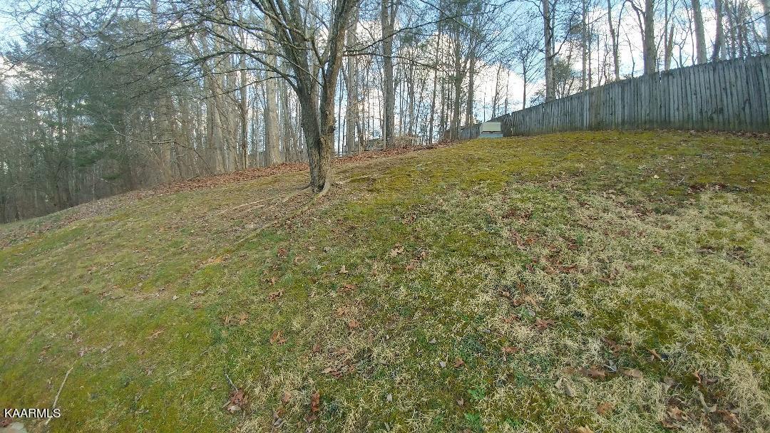 150 Hendrix Drive Oak Ridge, TN 37830 - Photo 15 of 16 thumbnail (16)