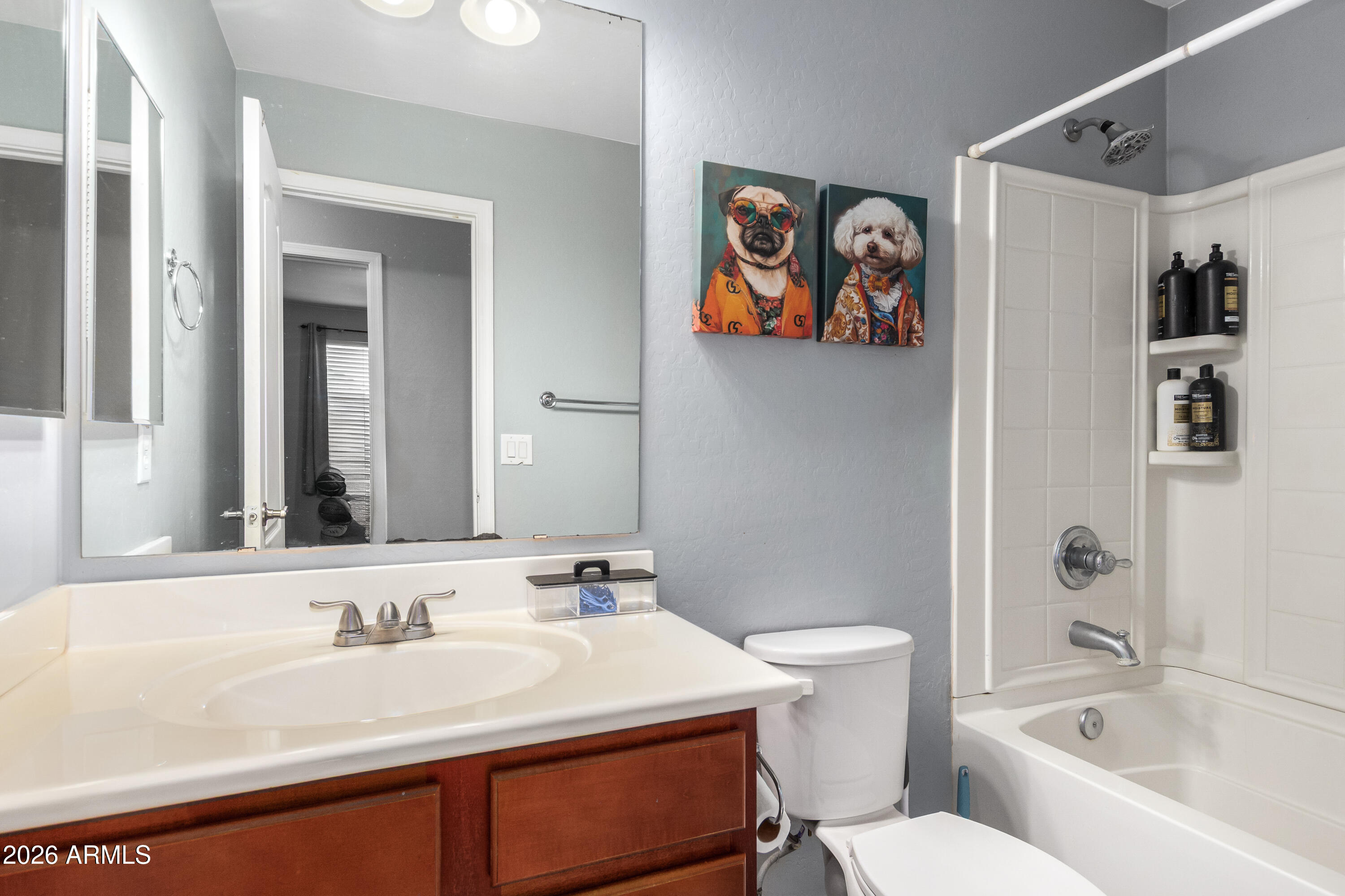 907 South Henry Lane Gilbert, AZ 85296 - Photo 18 of 25 a bathroom with a sink and a mirror