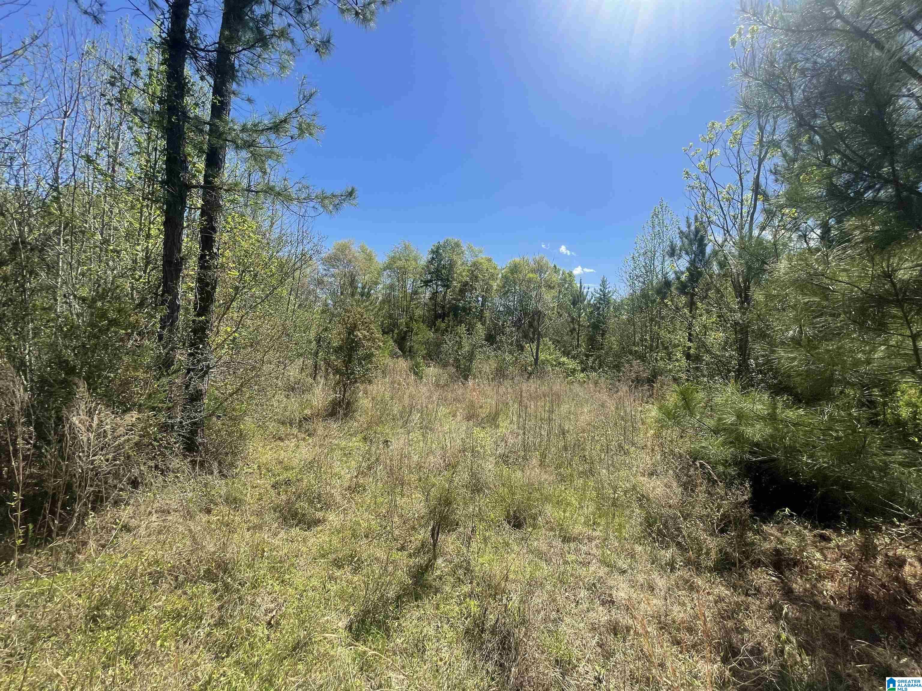 0 Richardson Road Brewton, AL 36426 - Photo 40 of 47