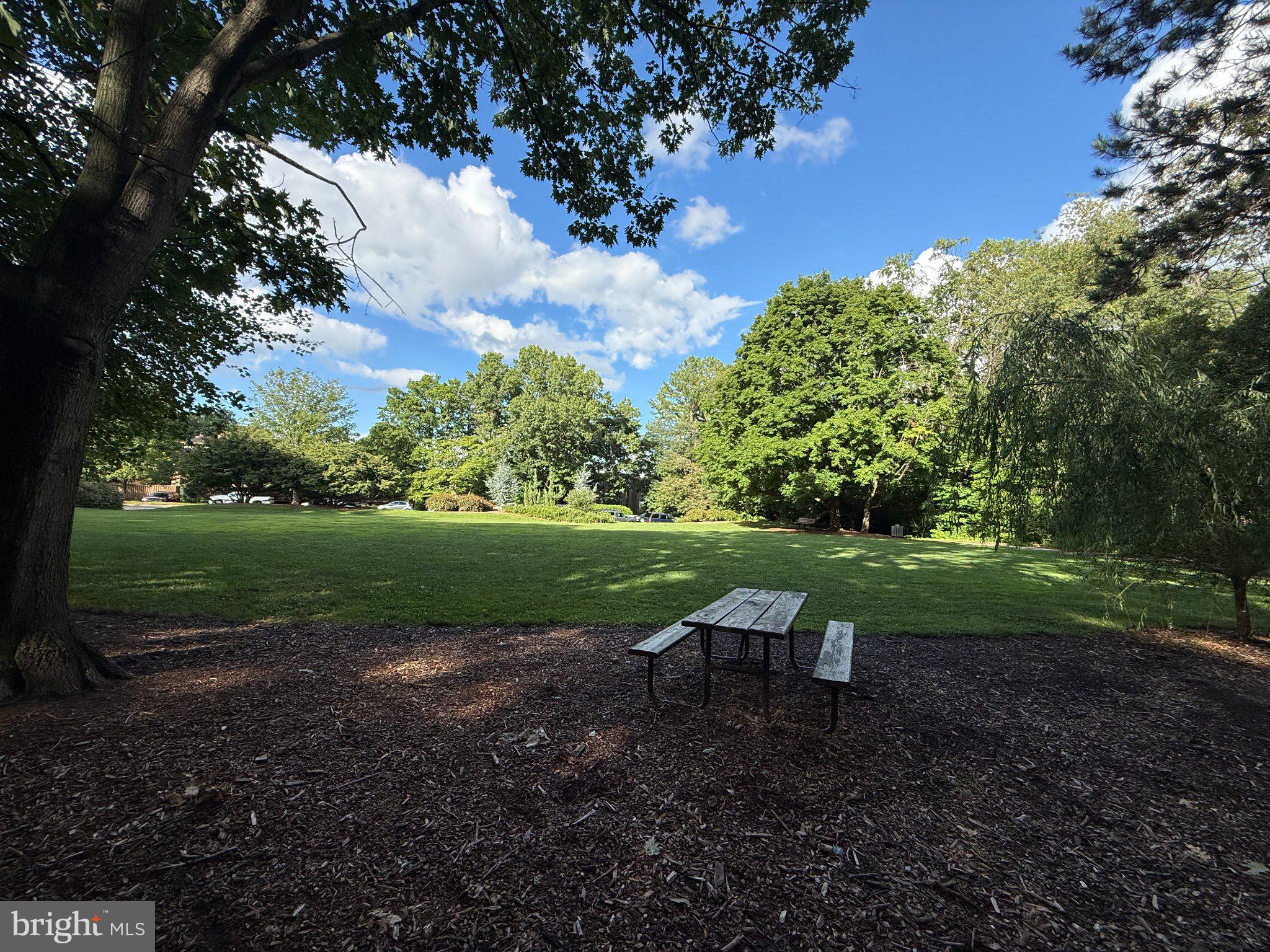 2121 Whisper Way Reston, VA 20191 - Photo 51 of 68 Tranquil park retreat under blue skies.