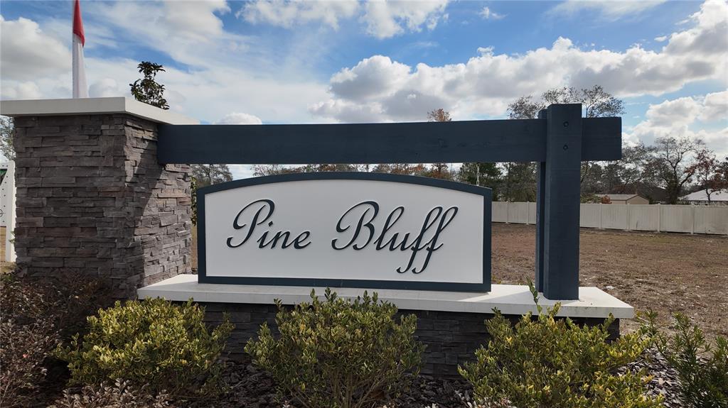 4355 Sutherland St Spring Hill Spring Hill, FL 34609 - Photo 57 of 57