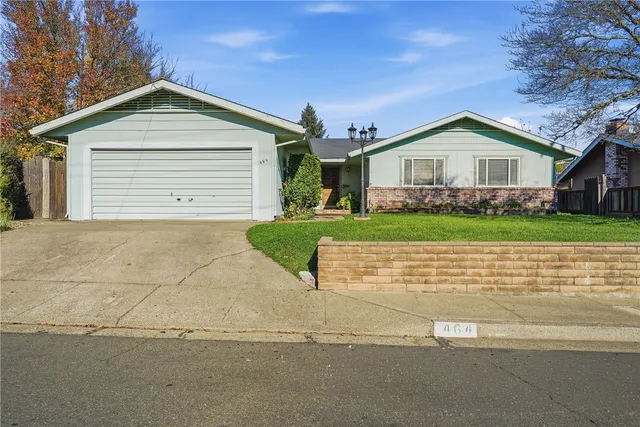 a view of backyard with a garden and plants