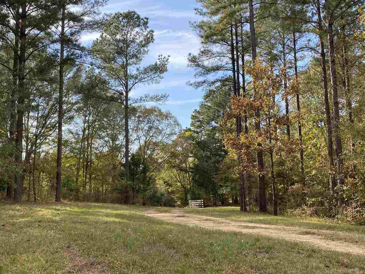 0 Cox Ferry Road Bolton, MS 39041 - Photo 12 of 30 Photo 12