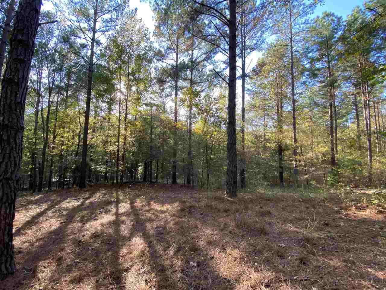 0 Cox Ferry Road Bolton, MS 39041 - Photo 15 of 30 Photo 15