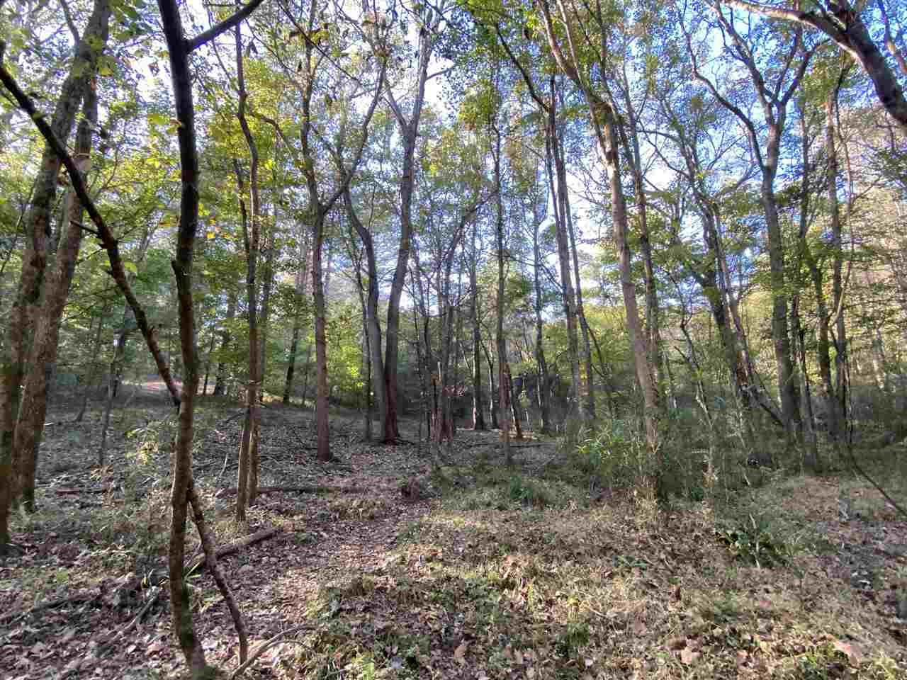 0 Cox Ferry Road Bolton, MS 39041 - Photo 17 of 30 Photo 17
