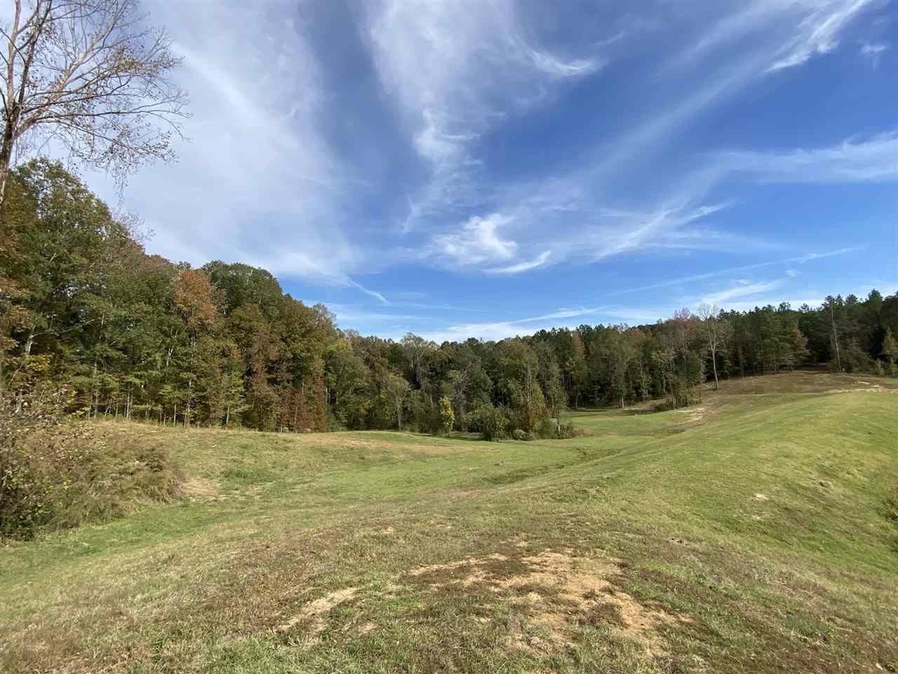 0 Cox Ferry Road Bolton, MS 39041 - Photo 3 of 30 Photo 3