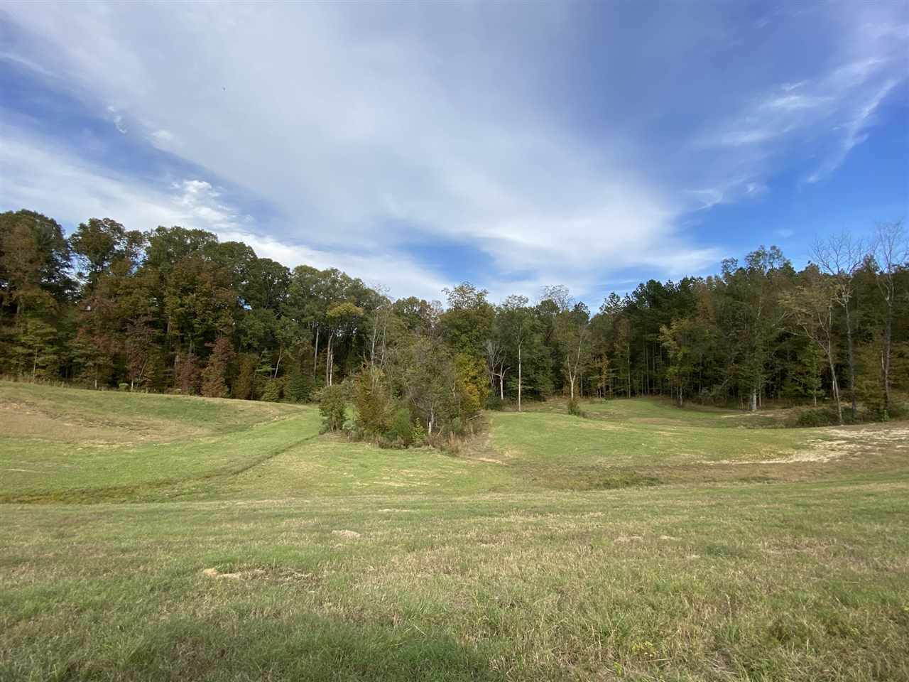 0 Cox Ferry Road Bolton, MS 39041 - Photo 4 of 30 Photo 4
