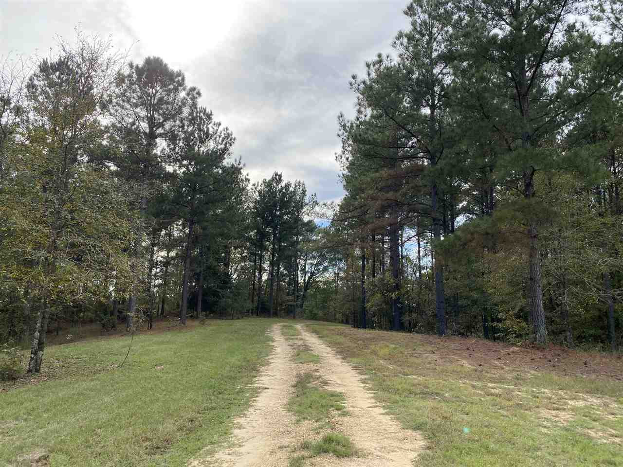 0 Cox Ferry Road Bolton, MS 39041 - Photo 6 of 30 Photo 6