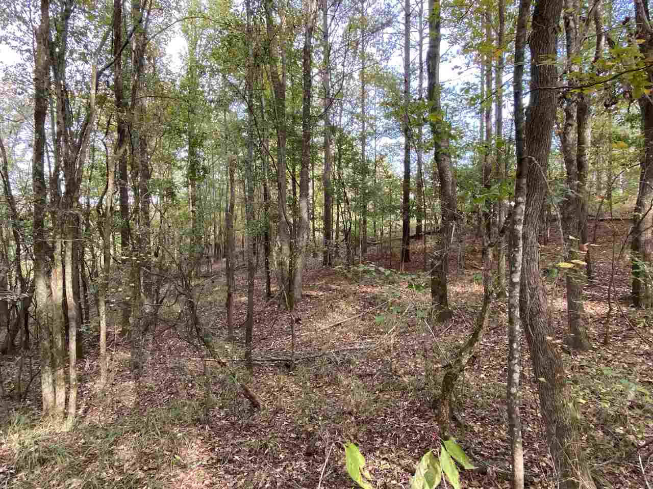 0 Cox Ferry Road Bolton, MS 39041 - Photo 10 of 30 Photo 10