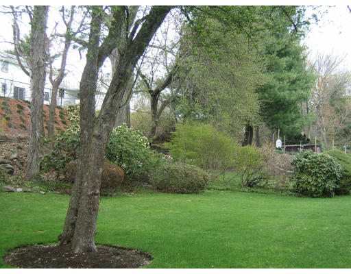 65 Redwood Road Newton, MA 02459 - Photo 3 of 6