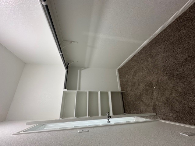 127 Tolo Drive Elgin, TX 78621 - Photo 11 of 30