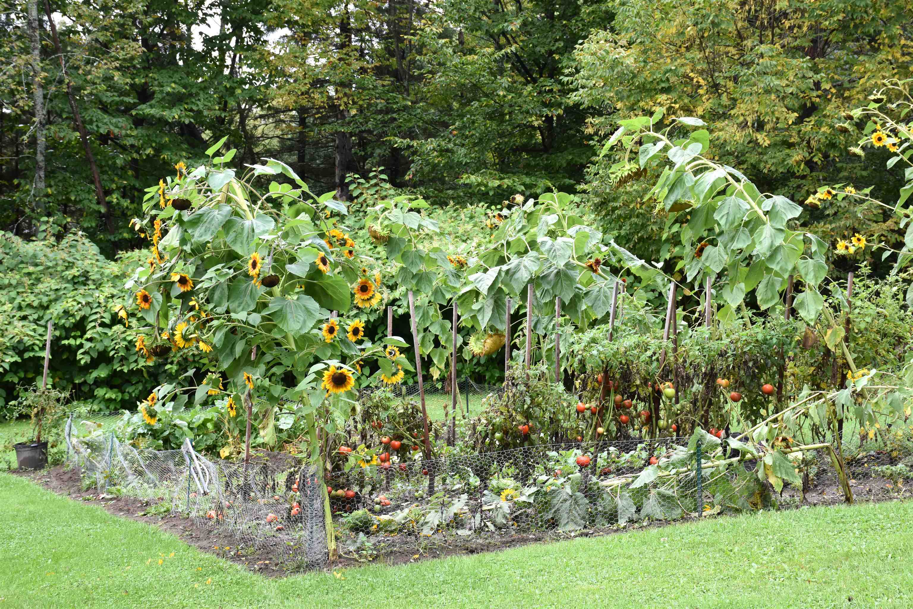 158 Mitchell Road Barre Town, VT 05641 - Photo 17 of 40 Gallery Image 17