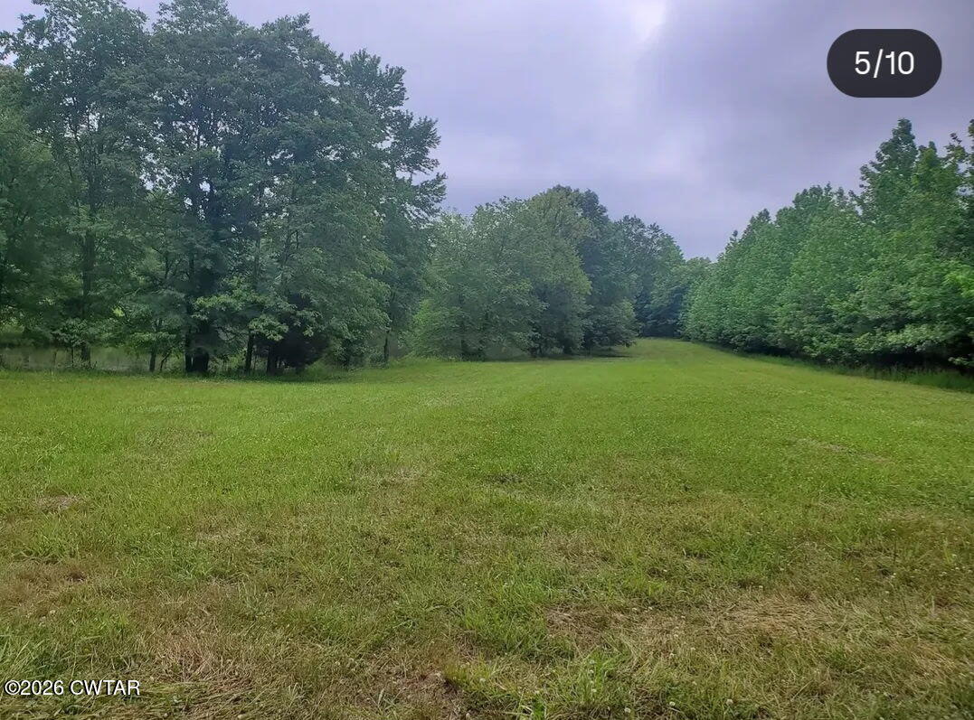 3431 Old Reagan Road Sardis, TN 38371 - Photo 20 of 25 5411