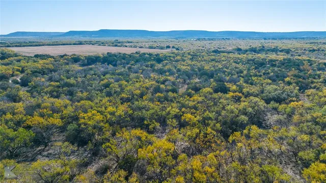 a view of a lush green field with lots of bushes
