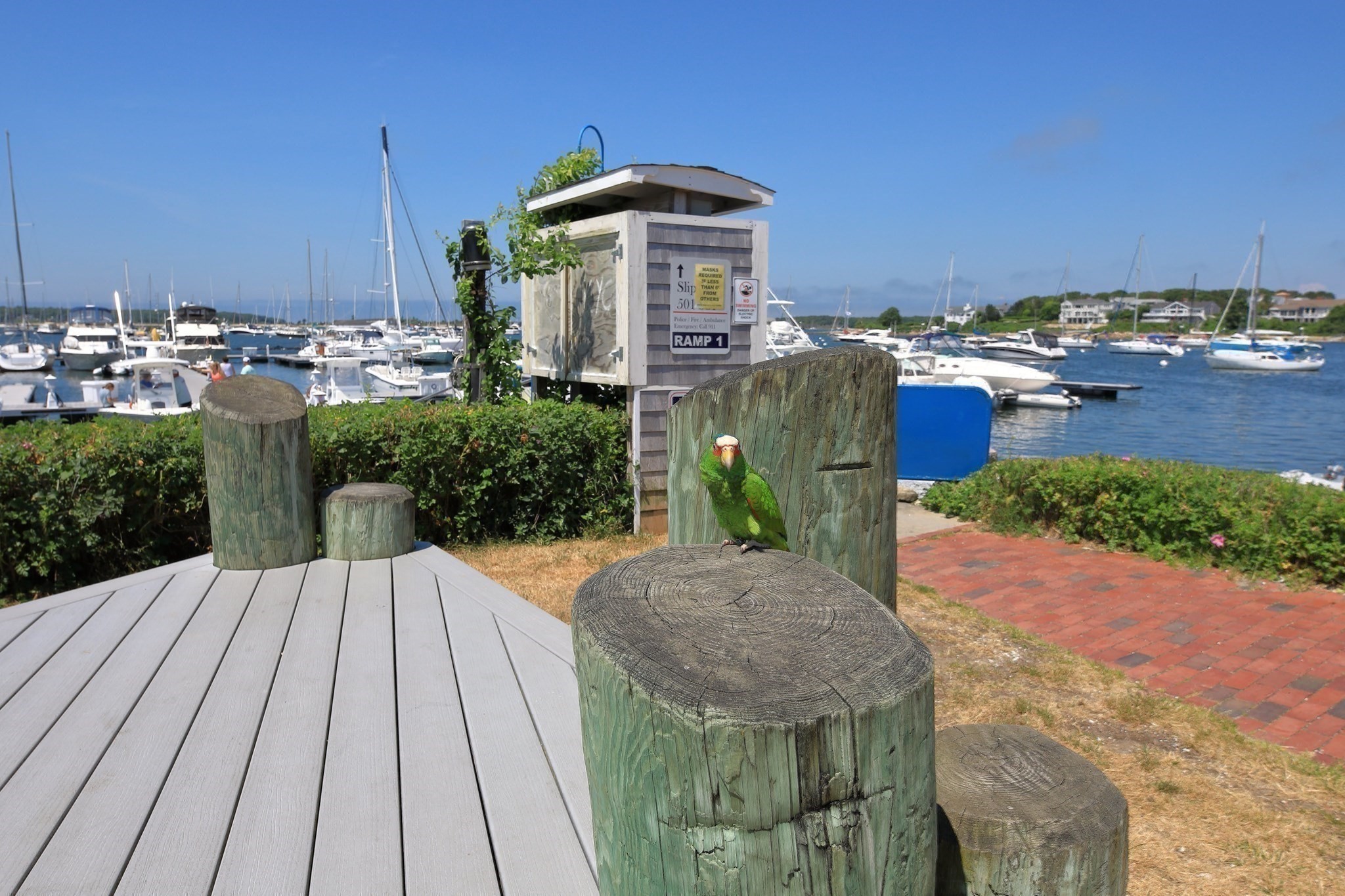 3 Elizabeth Road Bourne, MA 02559 - Photo 32 of 36 Gallery Image 32