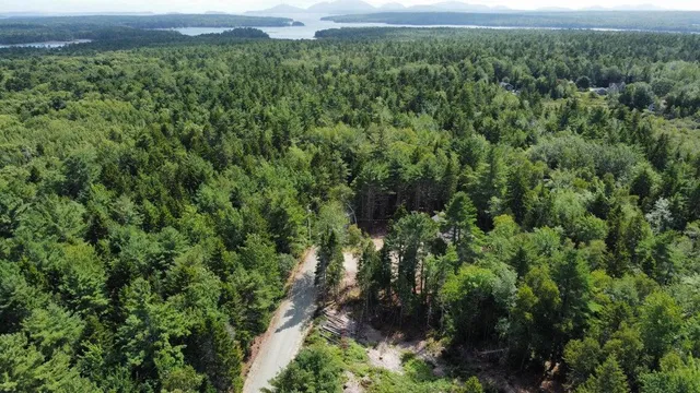 $44,900 | Lot #1 Leonia Road, Hancock, ME 04640