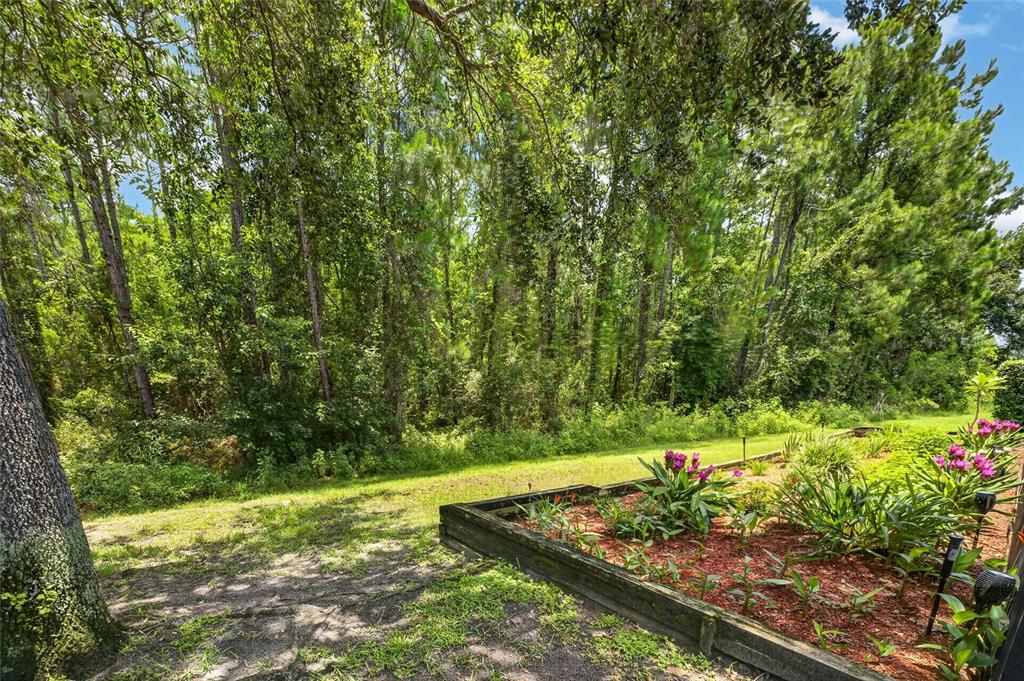 6587 Old Carriage Road Winter Garden, FL 34787 - Photo 7 of 85