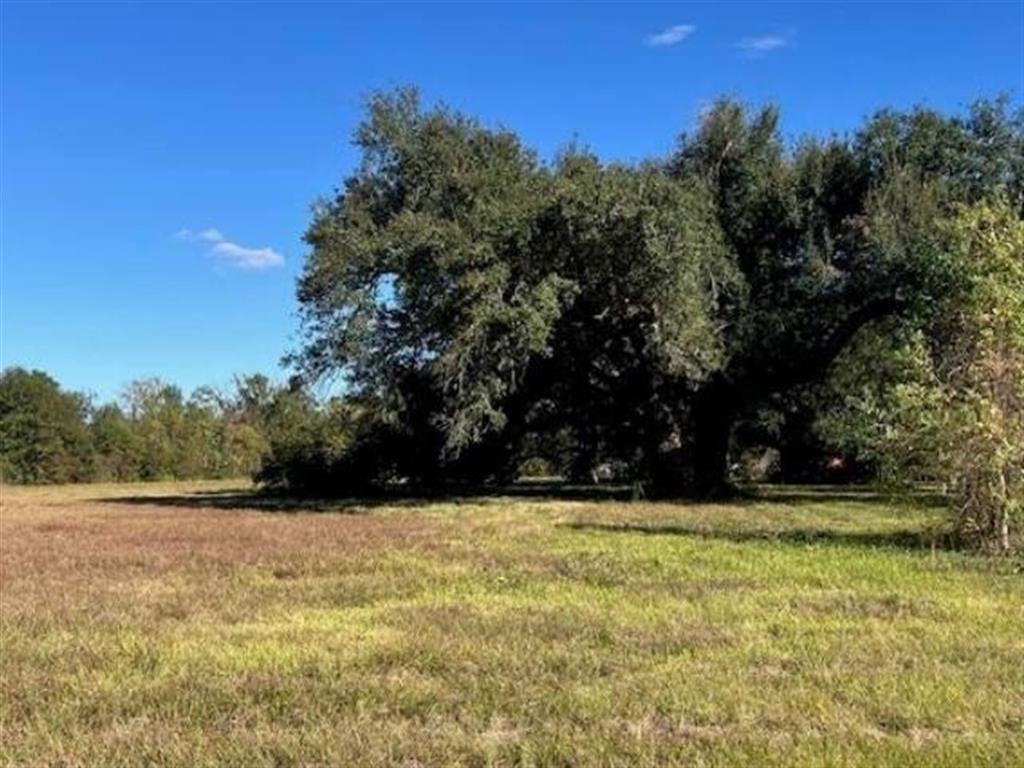 Perry Street Sulphur, LA 70663 - Photo 3 of 4