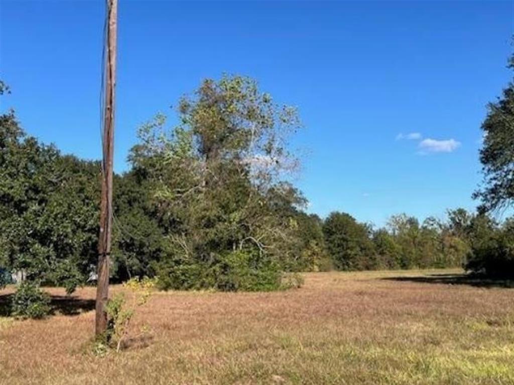 Perry Street Sulphur, LA 70663 - Photo 4 of 4