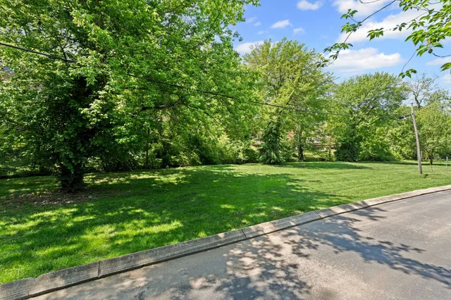 a view of a park with large trees