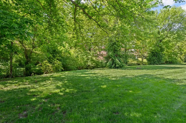 a view of a grassy field with trees