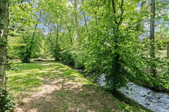 a view of outdoor space and yard