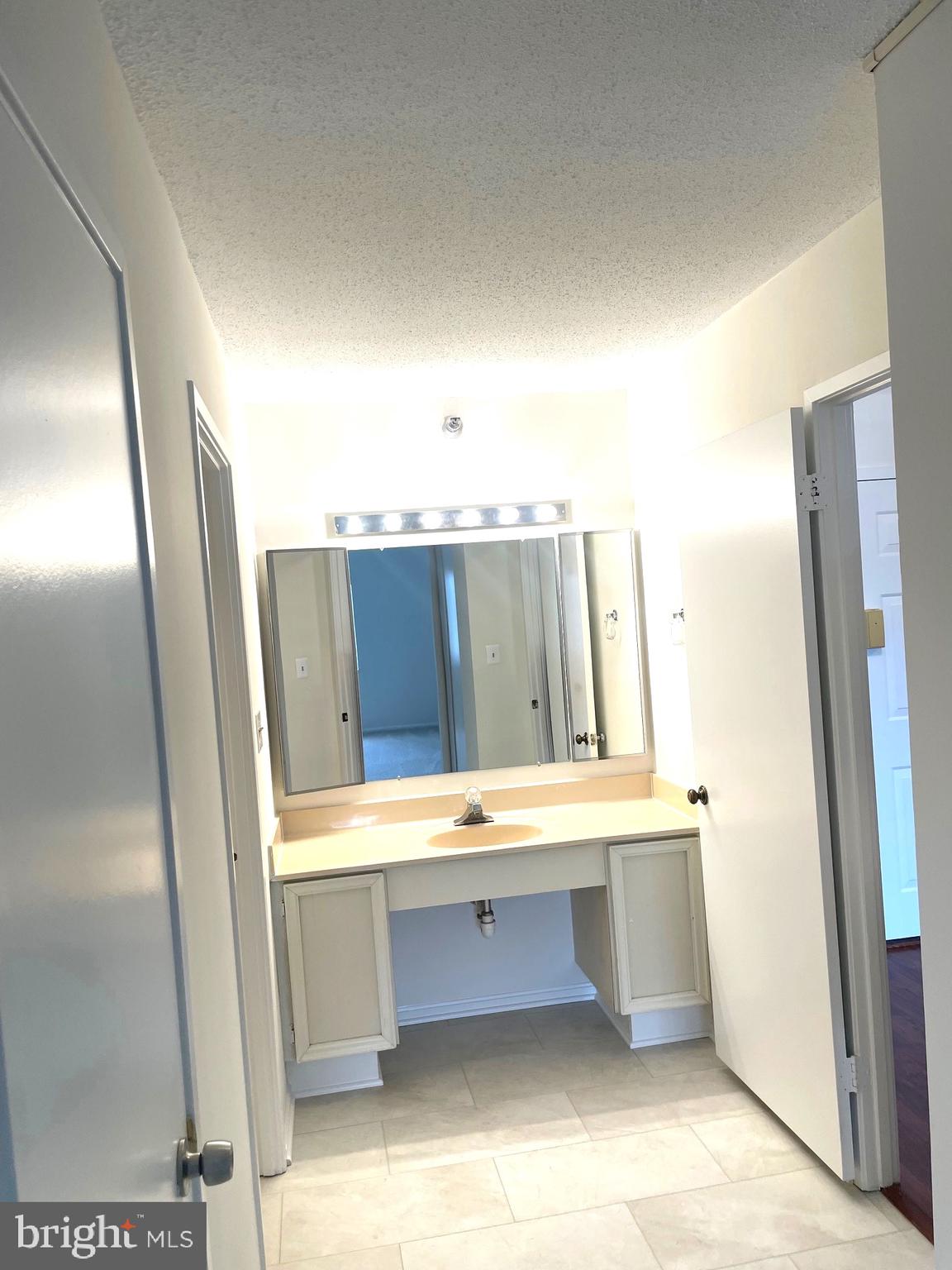 15100 Interlachen Drive, Unit 4901 Silver Spring, MD 20906 - Photo 17 of 31 Dressing area