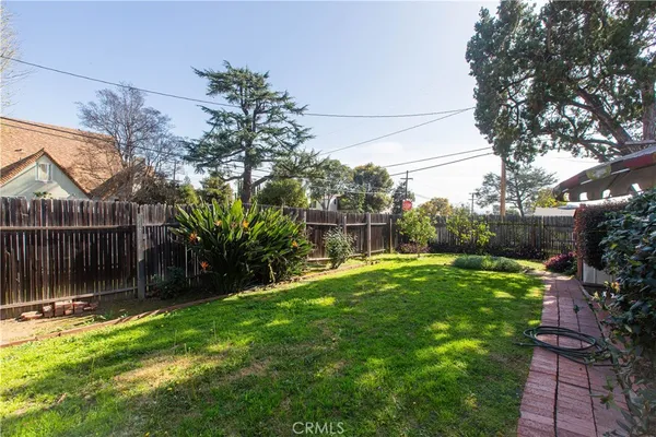a view of a backyard with plants and large trees