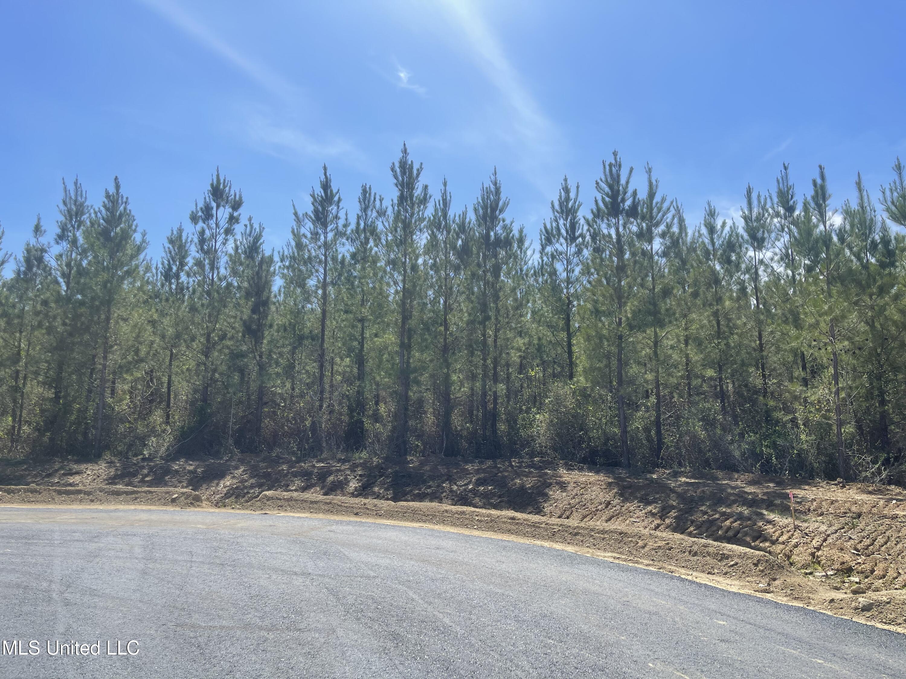 Lot 24 Freedom Ridge Lane Brandon, MS 39047 - Photo 1 of 18 IMG_2349