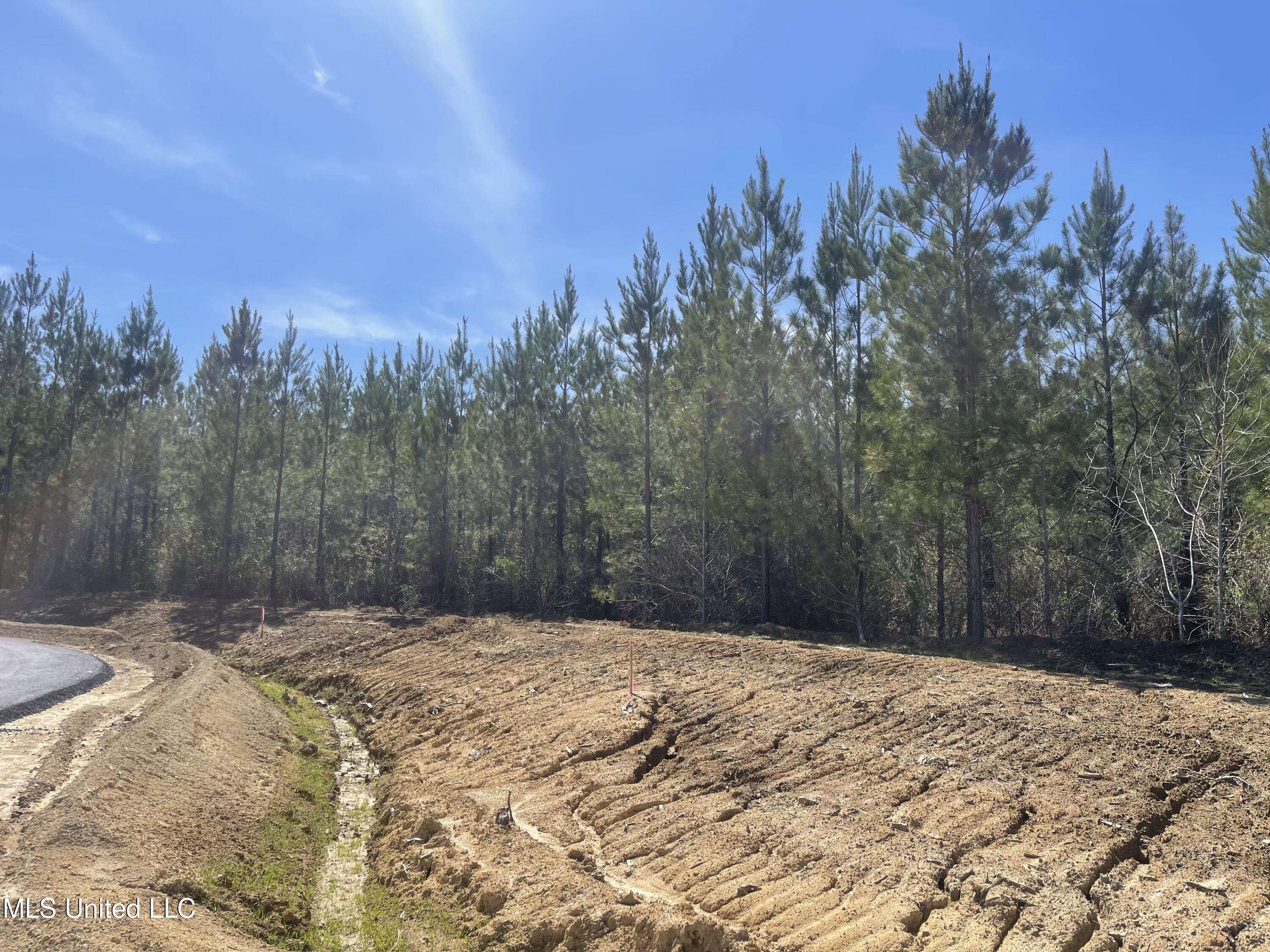 Lot 24 Freedom Ridge Lane Brandon, MS 39047 - Photo 3 of 18 IMG_2347