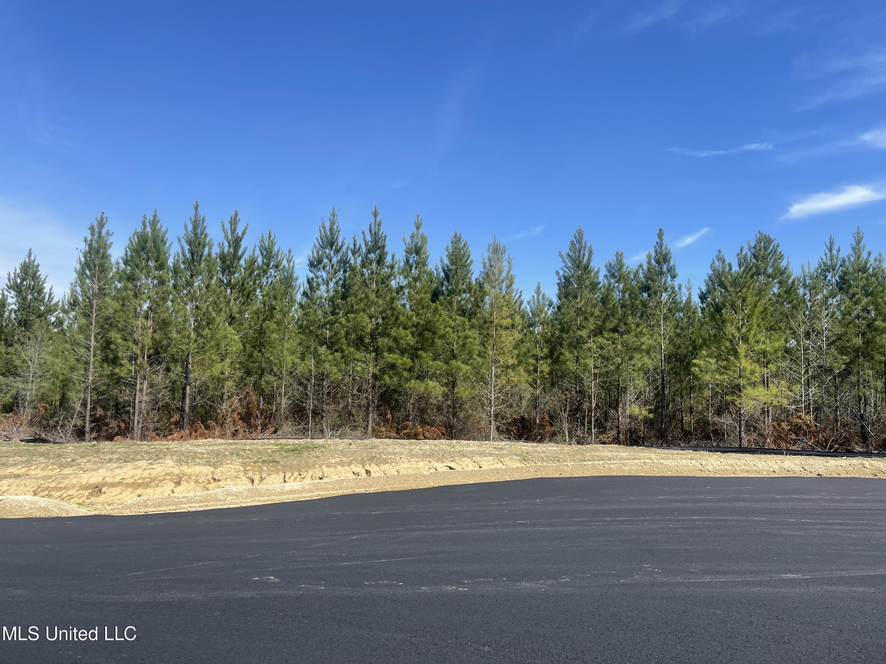 Lot 24 Freedom Ridge Lane Brandon, MS 39047 - Photo 5 of 18 IMG_2351