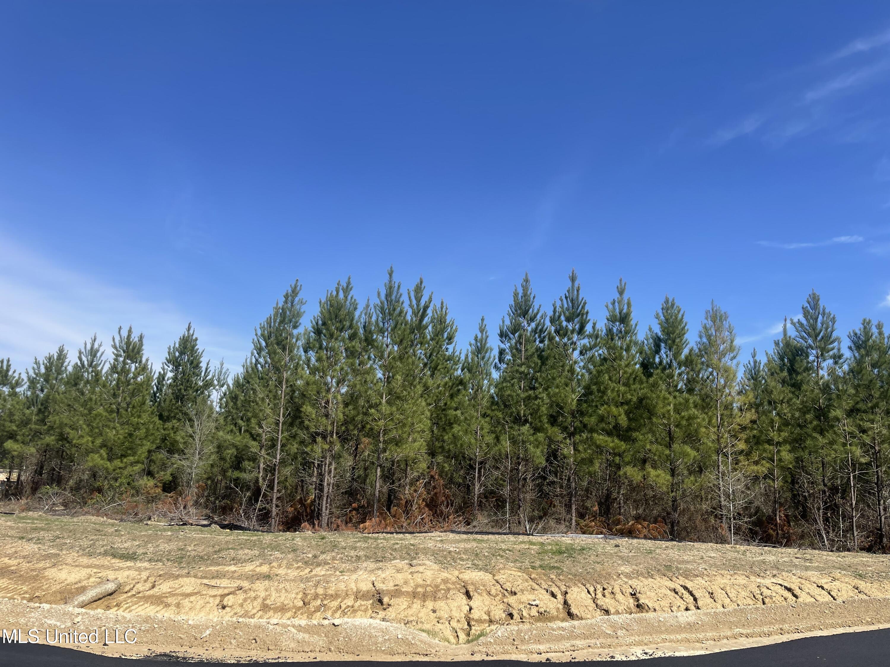 Lot 24 Freedom Ridge Lane Brandon, MS 39047 - Photo 6 of 18 IMG_2353
