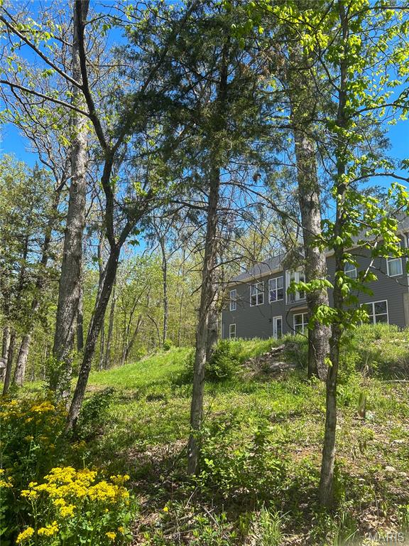 215 Rugged Acres Lane Defiance, MO 63341 - Photo 17 of 18