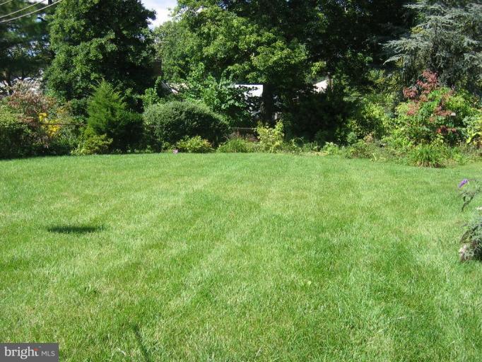 6015 22nd Road North Arlington, VA 22205 - Photo 14 of 16 a view of an outdoor space and a yard
