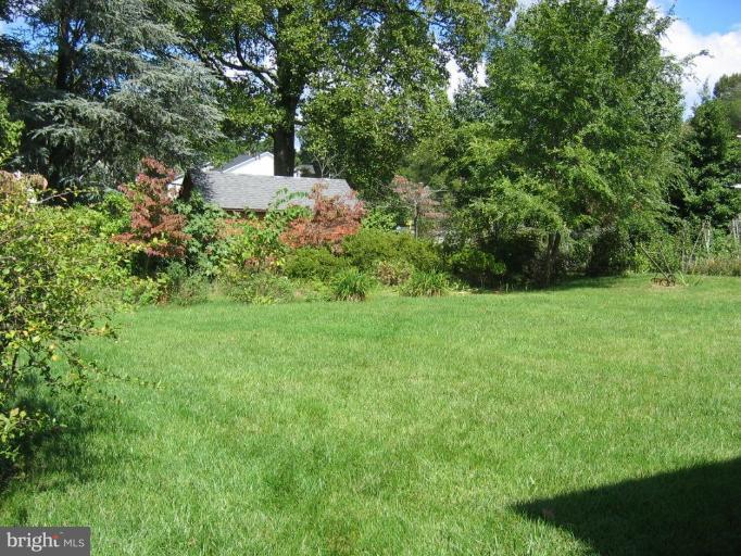 6015 22nd Road North Arlington, VA 22205 - Photo 15 of 16 a view of yard with green space
