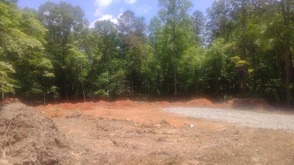 10 West Hawks Nest Road Blairsville, GA 30512 - Photo 6 of 40 a view of outdoor space and yard