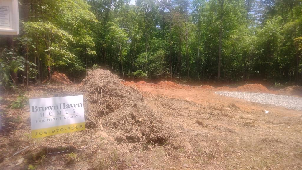 10 West Hawks Nest Road Blairsville, GA 30512 - Photo 7 of 40 a view of backyard and tree