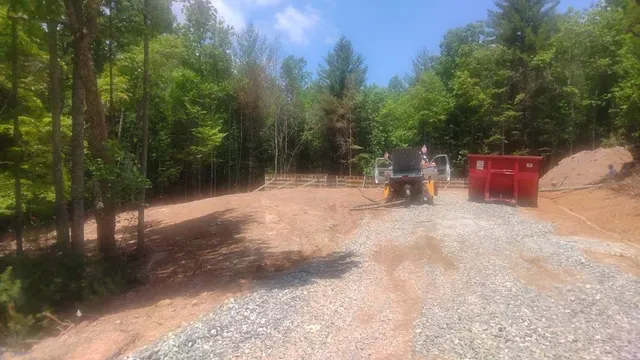 a view of a forest with trees