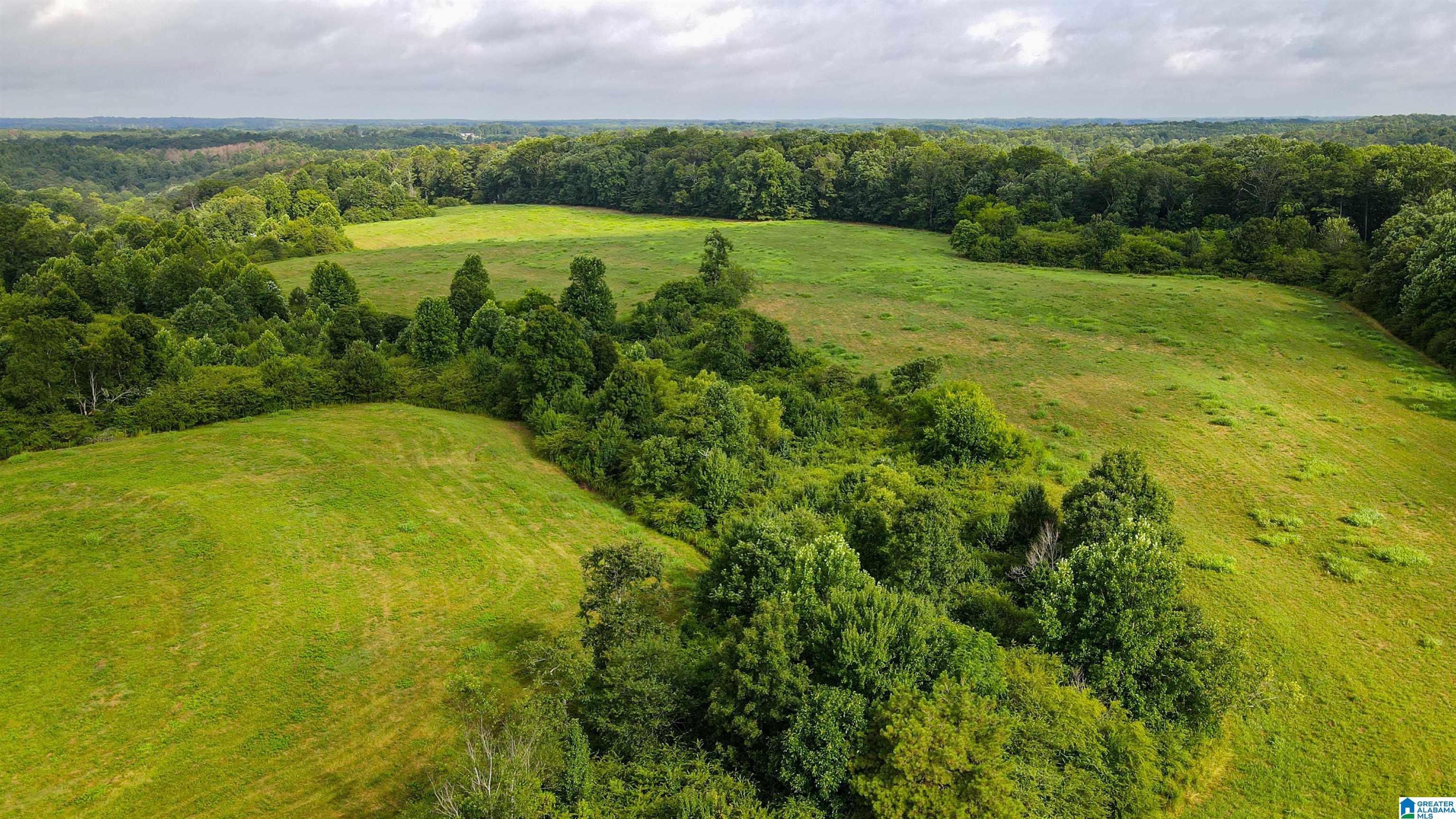 3597 Sardis-Airport Road Addison, AL 35540 - Photo 41 of 65