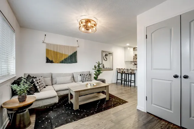 a living room with furniture and a potted plant
