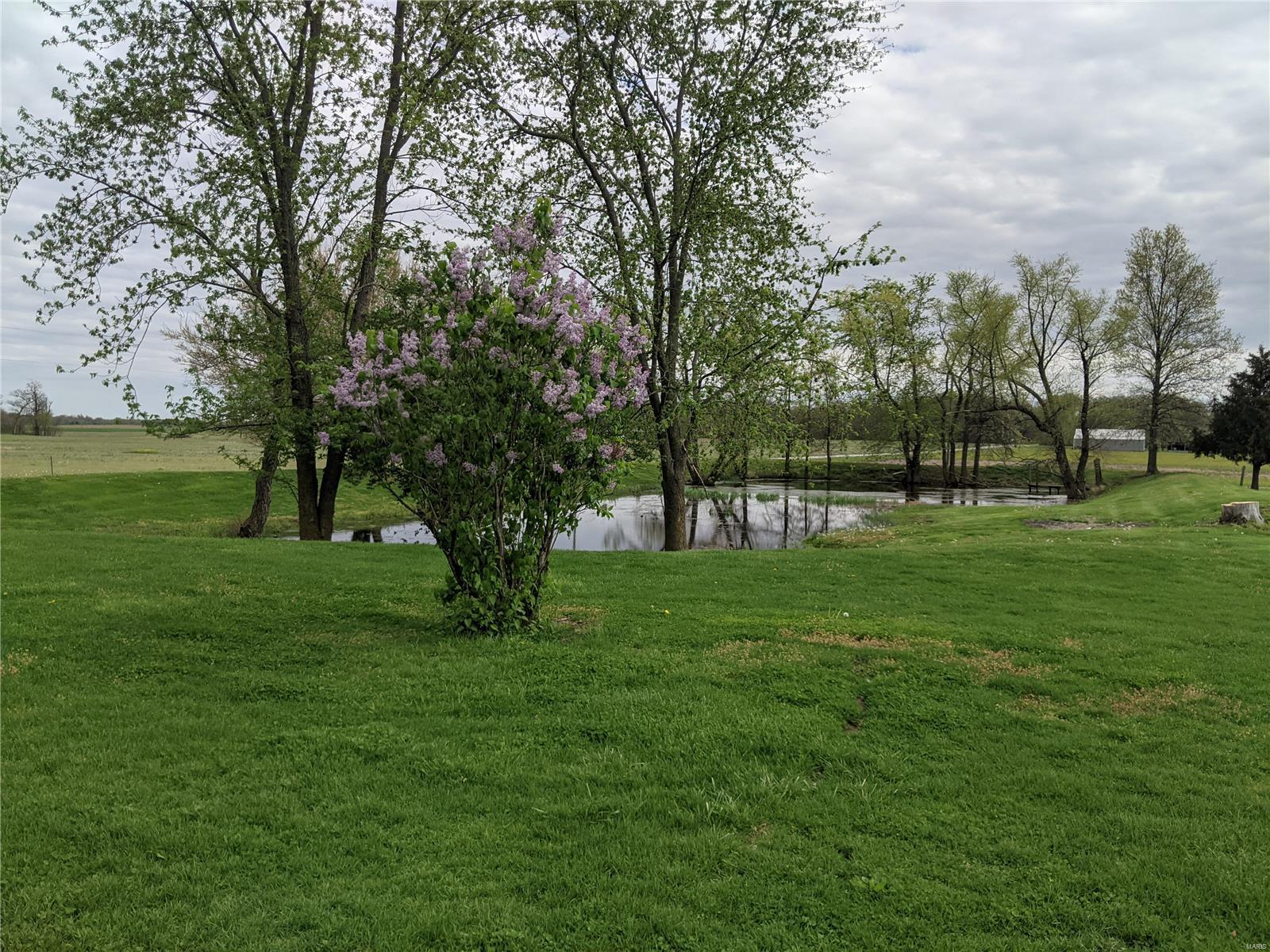 9819 Hunter Field Road Sparta, IL 62286 - Photo 2 of 34